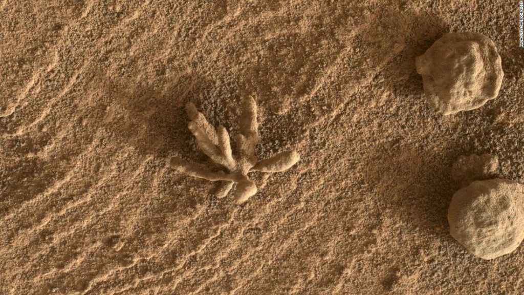 Mała formacja „kwiatowa” dostrzeżona przez łazik Curiosity na Marsie