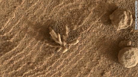 małe & # 39;  kwiat & # 39;  Formacja obserwowana na Marsie przez łazik Curiosity