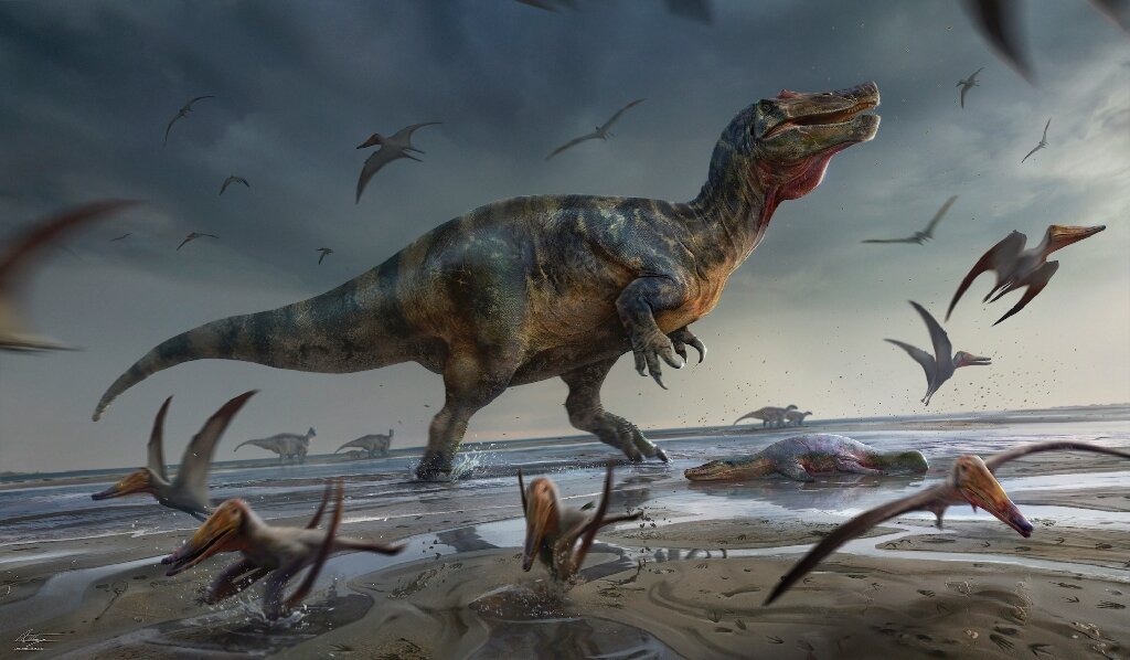Brytyjski łowca skamielin odkrywa największego drapieżnego dinozaura w Europie
