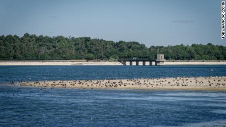 Niższe poziomy wody ujawniają części linii brzegowej w zbiorniku Hanningfield w Essex w Anglii.