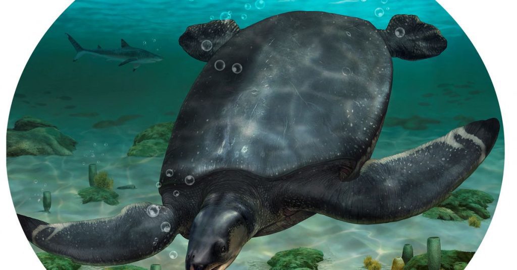 W Hiszpanii odkryto skamieniałości żółwia morskiego wielkości samochodu z epoki dinozaurów