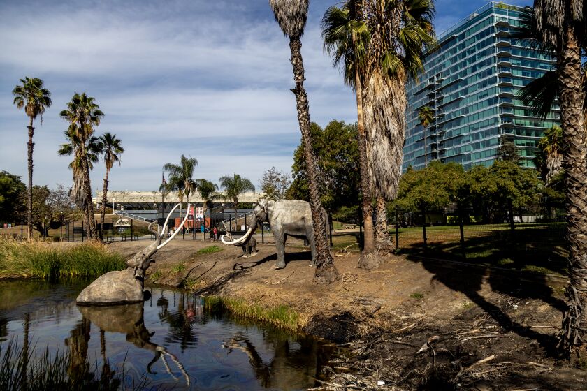 Doły La Brea Tar Pits są pełne tajemnic.  Oto trzy najbardziej zaskakujące